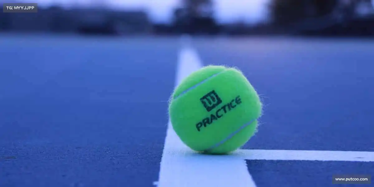 行业领先的理由